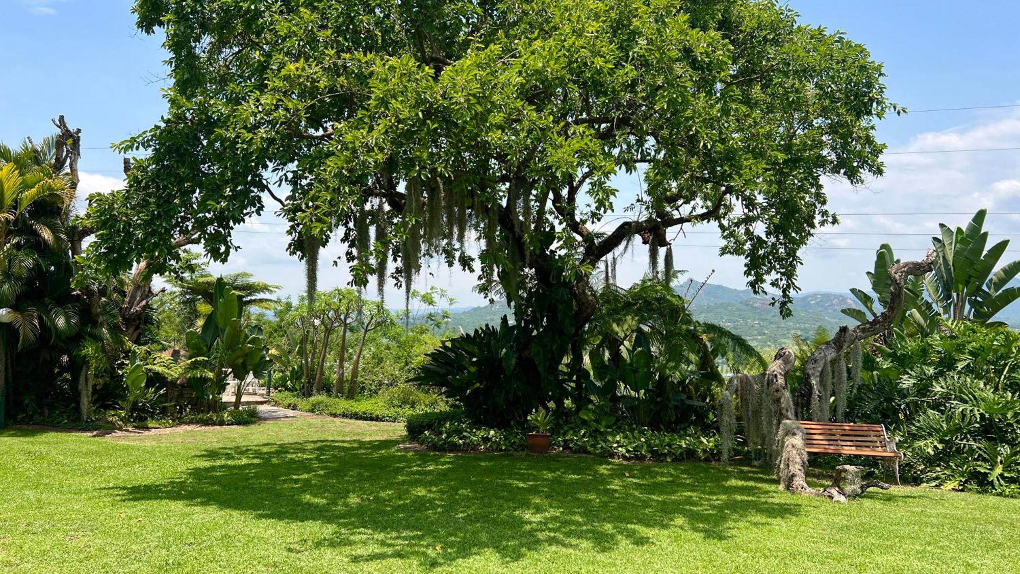 Loerieroep Estate - Mountainview Selfcatering Accommodation Nelspruit Mbombela Exteriör bild