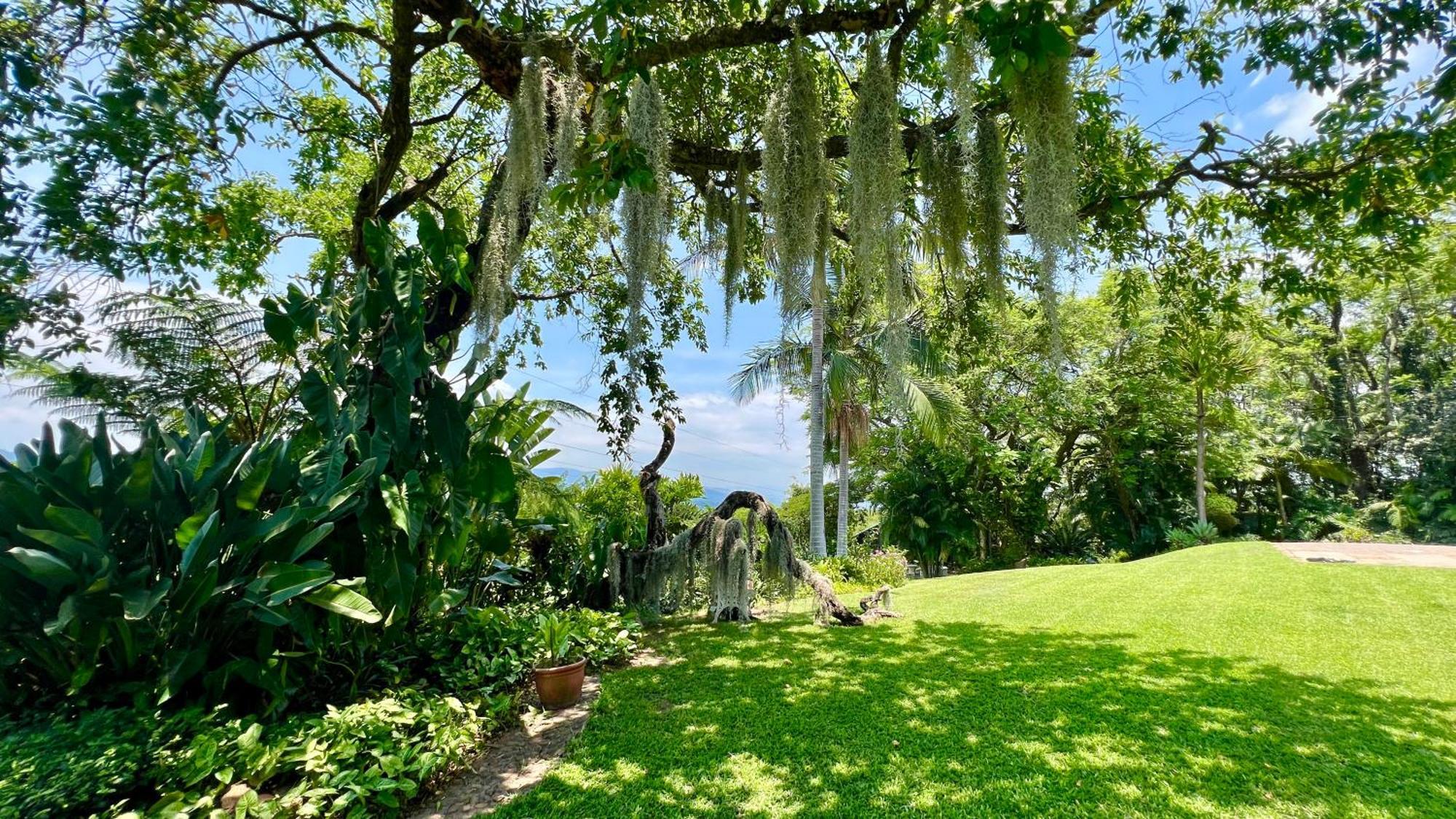 Loerieroep Estate - Mountainview Selfcatering Accommodation Nelspruit Mbombela Exteriör bild